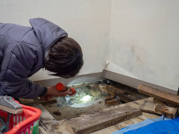 Best Biohazard Mold Removal  in Strawberry Plains, TN