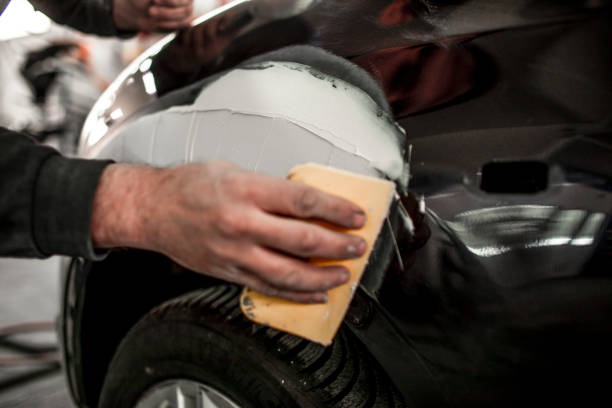 Best Mold Documentation for Insurance Claims  in Strawberry Plains, TN