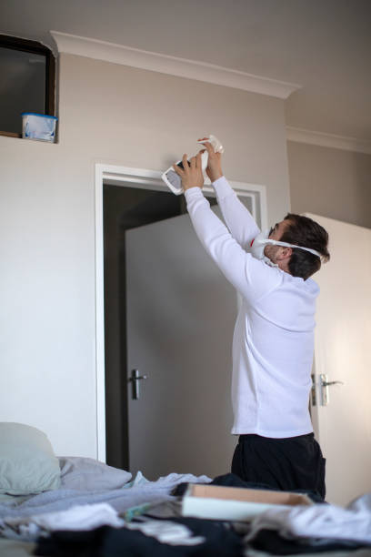 Best Asbestos and Lead Testing During Mold Inspection  in Strawberry Plains, TN