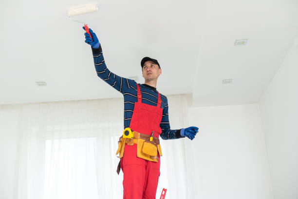 Trusted Strawberry Plains, TN Mold Removal Experts