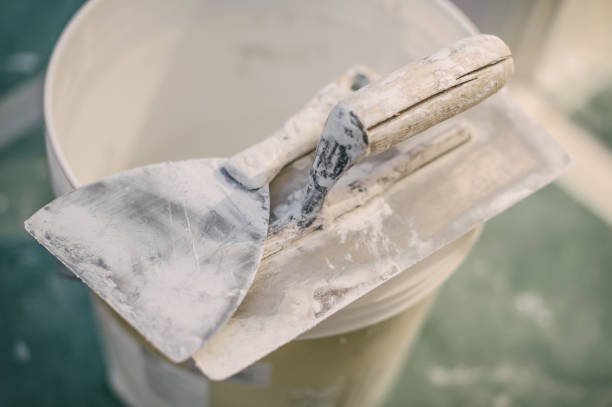 Best Residential Mold Inspection & Testing  in Strawberry Plains, TN